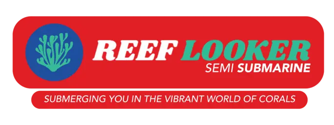 Reeflooker Logo